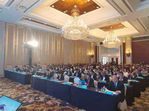 青島國際航運(yùn)貿(mào)易金融創(chuàng)新中心核心區(qū)暨RCEP青島經(jīng)貿(mào)合作先行創(chuàng)新試驗(yàn)基地上海推介會(huì)圓滿舉行