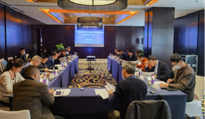 集聚智慧 共繪藍(lán)圖——黃文川主持北京專家咨詢會(huì)為百色重點(diǎn)開發(fā)開放試驗(yàn)區(qū)建設(shè)把脈